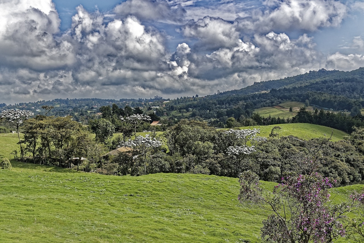 colombia, finca, santa elena, medellín, nature, landscape, trees, forest green, heaven, clouds, panorama